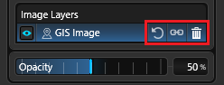 GIS Image Layer Options