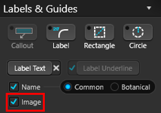 Label Guide_Panel_2a