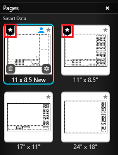 Page Layout Default Icon