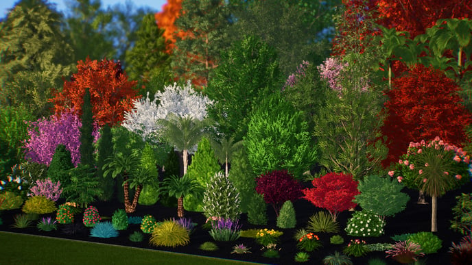 007 200 New Plants and Trees