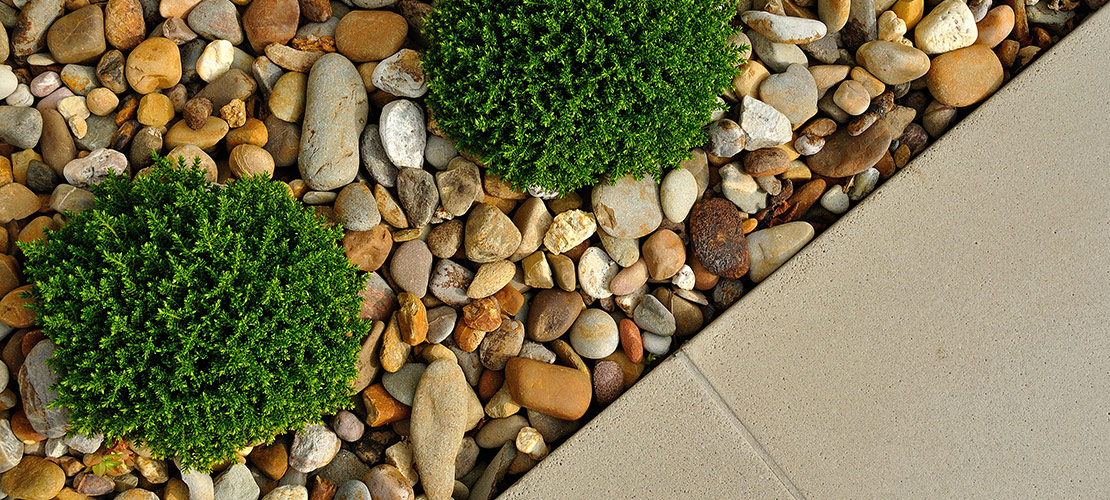 7 Residential Landscaping Design Trends Your Clients Want