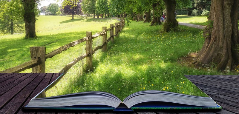 How to Present a Landscape Design: 7 Killer Sales Presentation Tips
