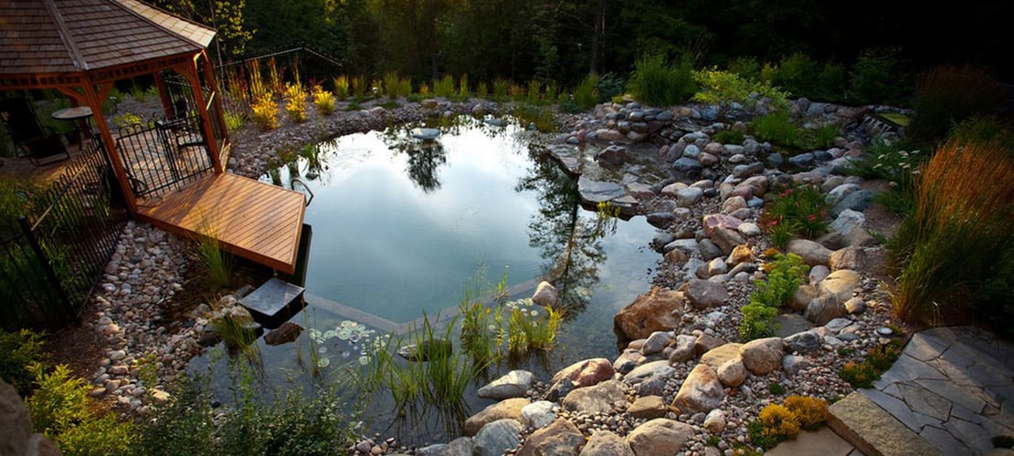 Trends: Ready to Build a Natural Swimming Pool? Your Clients Are.