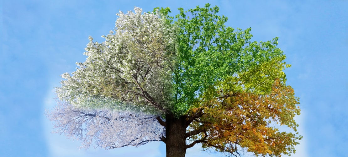 5 Elements of the Pool and Landscape Design Process You May Be Missing